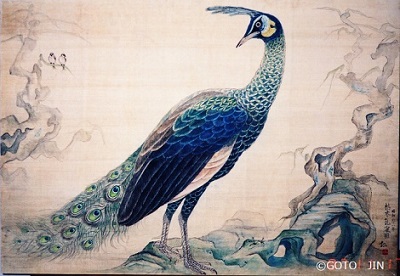 日本画「枯木孔雀図（こぼく くじゃくず、マクジャク）」